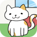 我的小猫呢