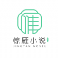 惊雁文娱小说