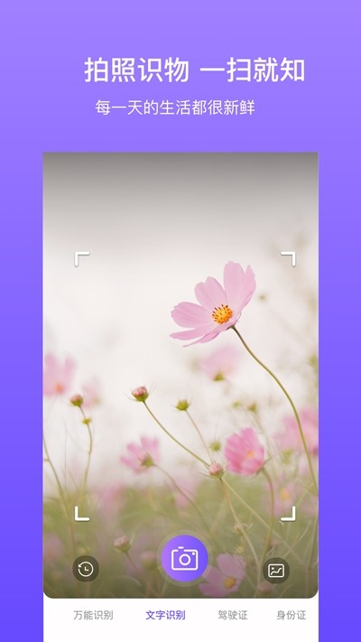 拍拍识图: 拍拍识图: