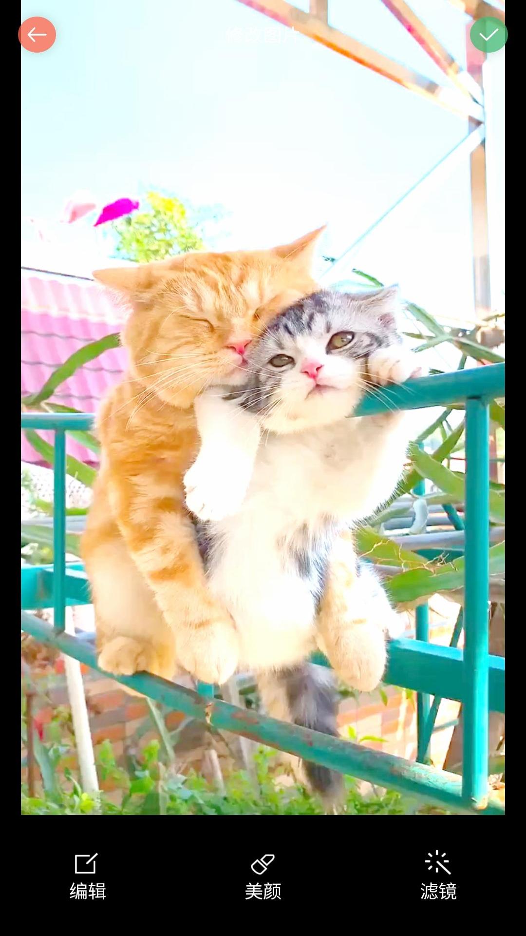 安果美颜相机 安果美颜相机