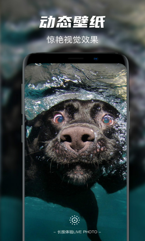 Map主题动态墙纸 Map主题动态墙纸