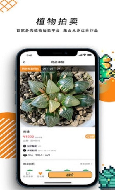 一植拍-插图1
