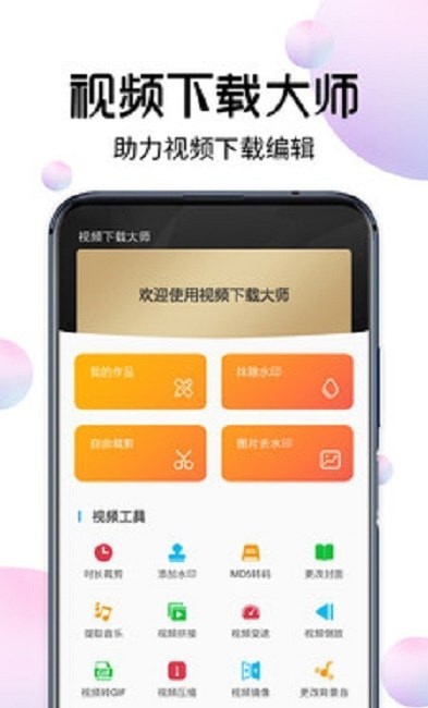 视频下载大师-插图3