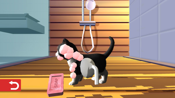 我的收养猫咪-插图3