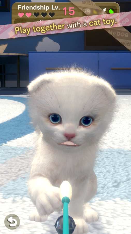 和我的猫在一起游戏-插图3