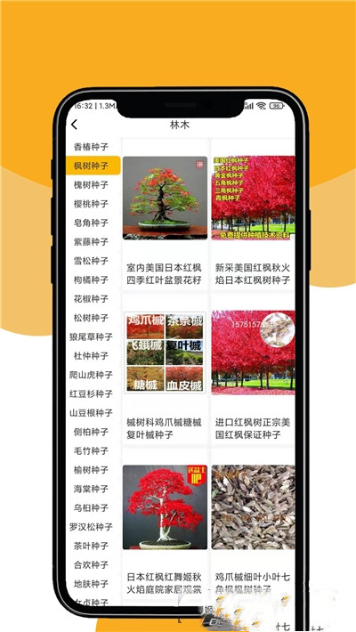 晟期农业-插图3