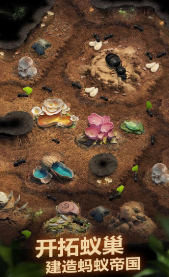 planet ant游戏-插图1