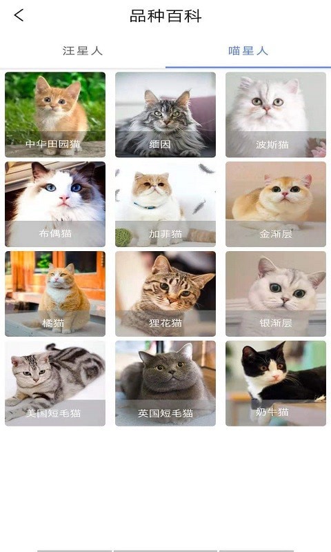 贝贝宠物百科app-插图2