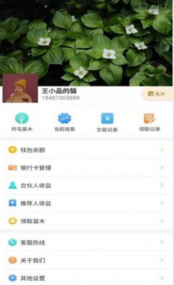 共享苗木-插图1