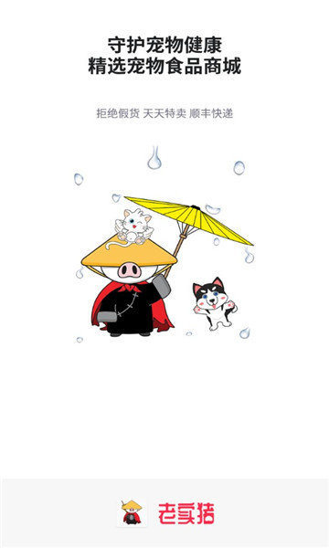老实猪-插图1