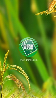 全民惠-插图1