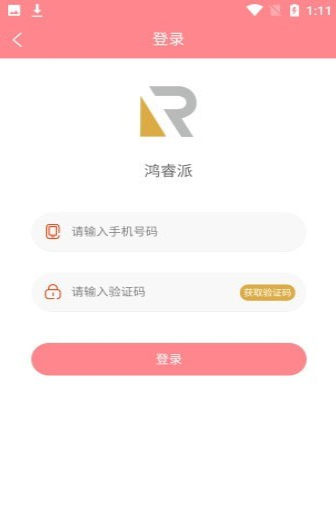 鸿睿派-插图2