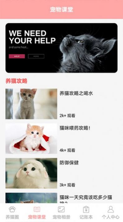 遇见我的猫-插图1