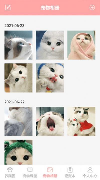 遇见我的猫-插图2