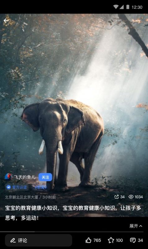 飞鱼仔
