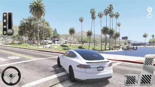 Model S