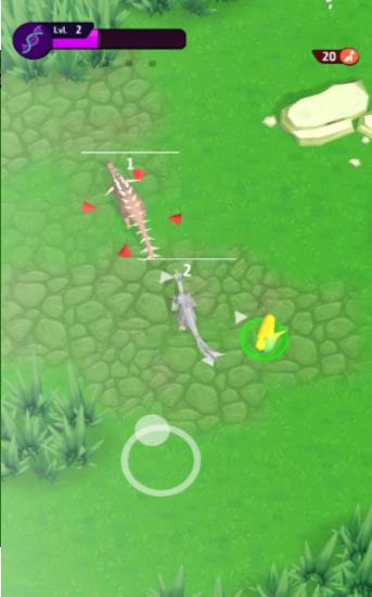 动物进化挑战 动物进化挑战