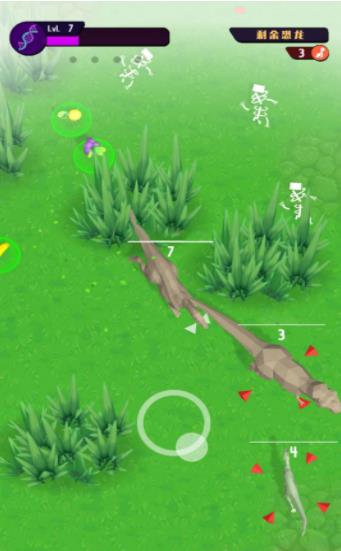 动物进化挑战 动物进化挑战