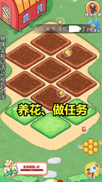 我的大花园