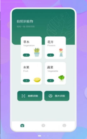 智能识图识物