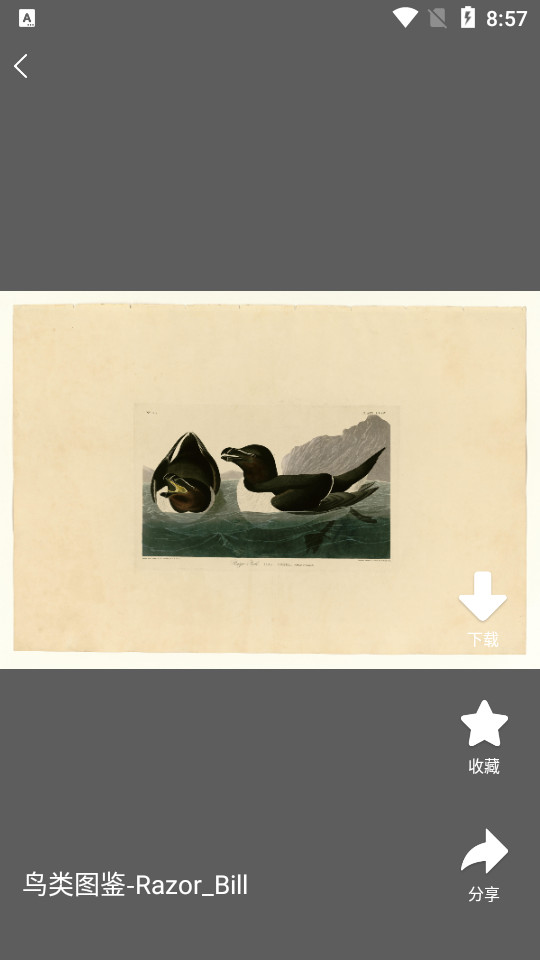 中国名画 中国名画