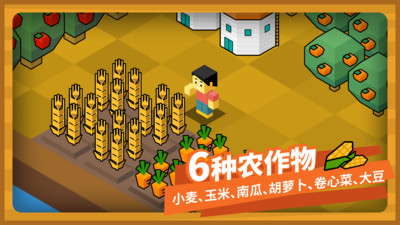 指令农场
