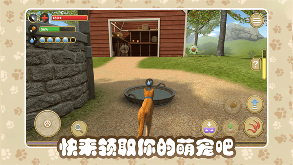 猫咪农场 猫咪农场