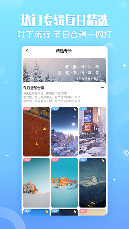 小鸟壁纸