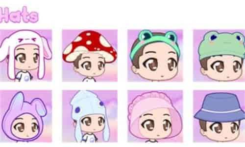 加查玫瑰 加查玫瑰