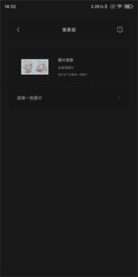 迷你兔