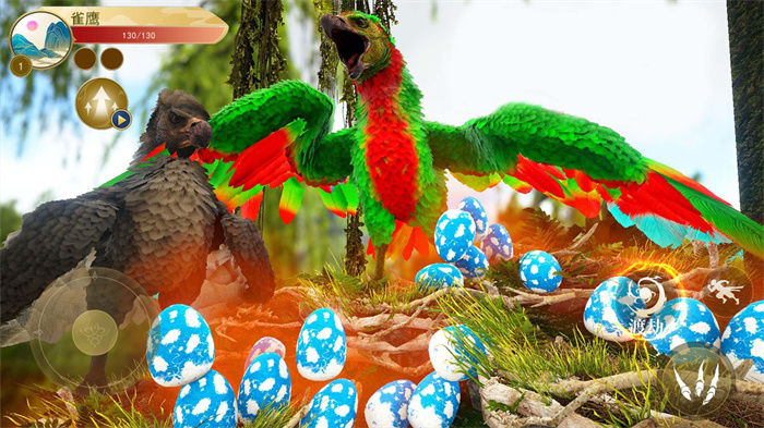 神雕狩猎模拟 神雕狩猎模拟