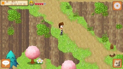 牧场物语记忆之种 牧场物语记忆之种