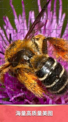 静心拼图 静心拼图