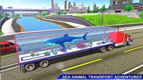 海洋动物运输车驾驶 海洋动物运输车驾驶