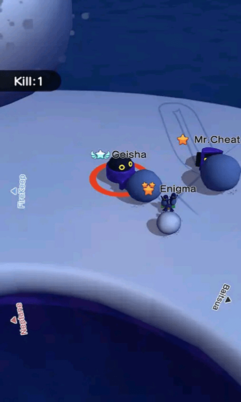 极地雪球精英 极地雪球精英