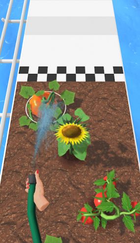 种植花园跑 种植花园跑