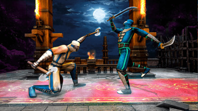 功夫忍者战斗 功夫忍者战斗