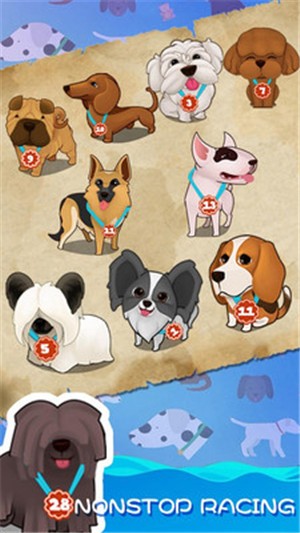 聪明的狗 聪明的狗