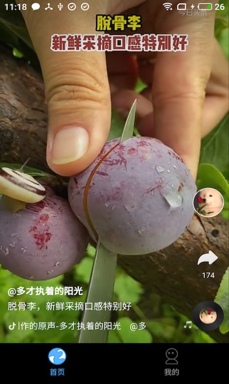 多多免费短剧