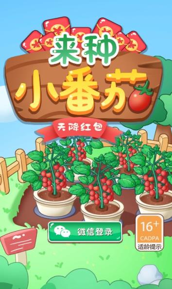 来种小番茄天降红包 来种小番茄天降红包