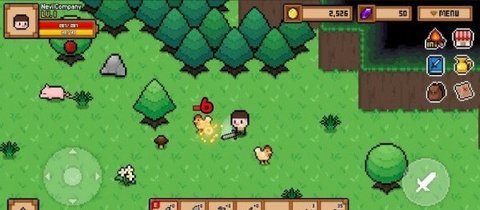 森林营地 森林营地