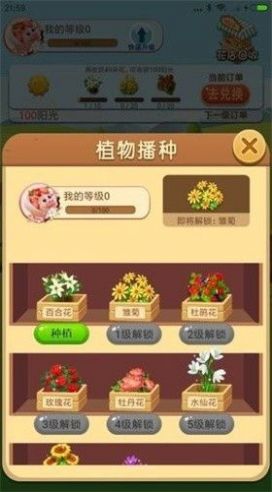 开心养多肉