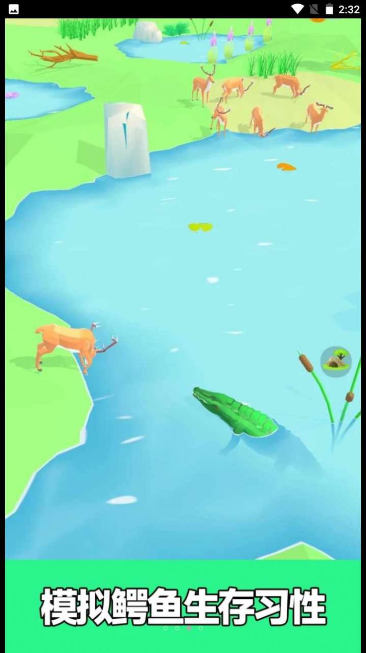 彩虹动物园