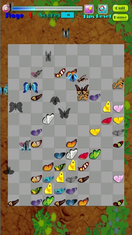 蝴蝶消除 蝴蝶消除