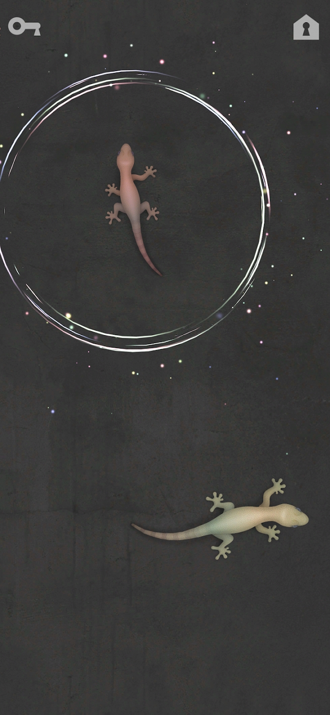 猫猫玩具 猫猫玩具