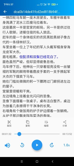 语音转写大师