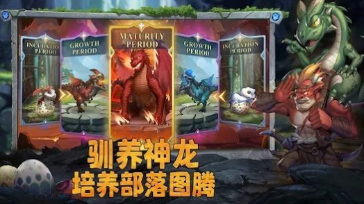 谁是大酋长海岛之战 谁是大酋长海岛之战