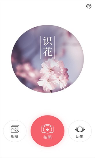 识花大师 识花大师