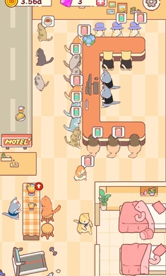 猫咪酒店 猫咪酒店