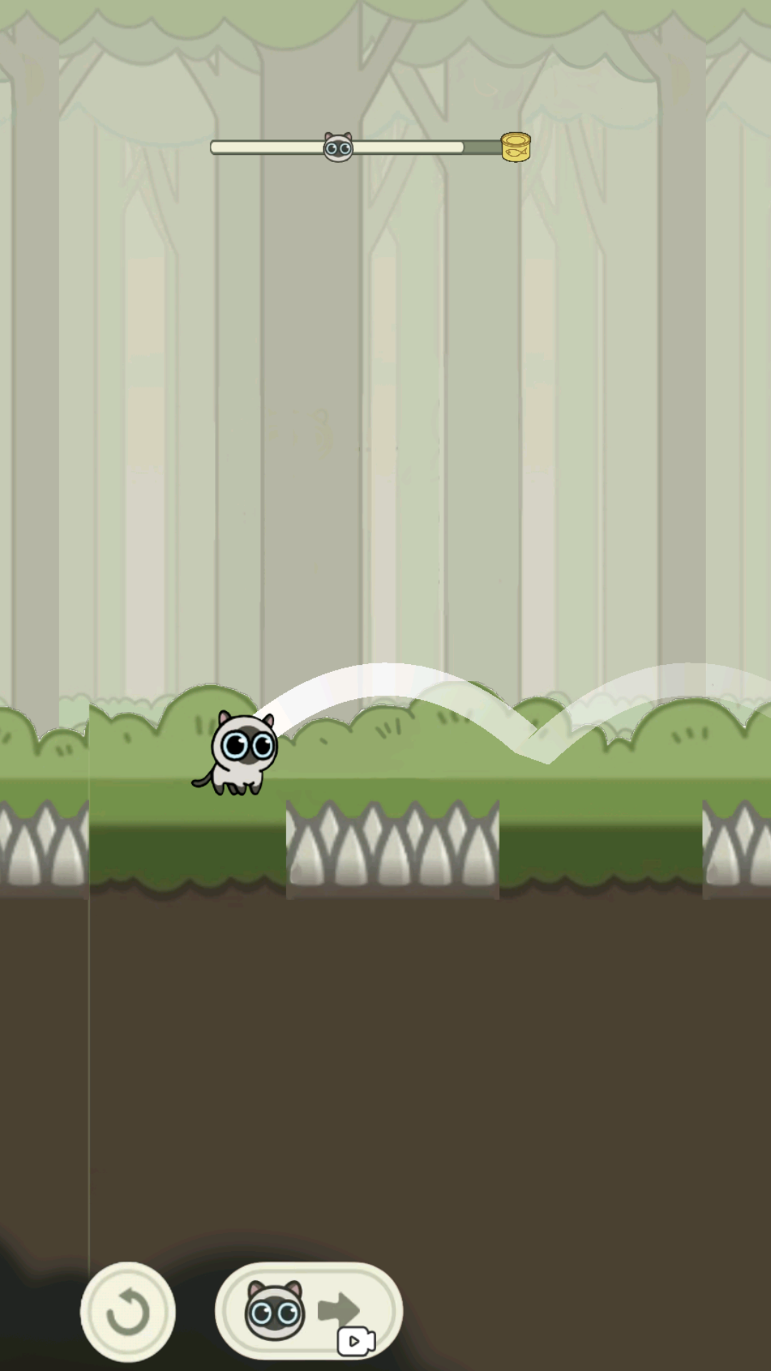 猫咪冒险记 猫咪冒险记